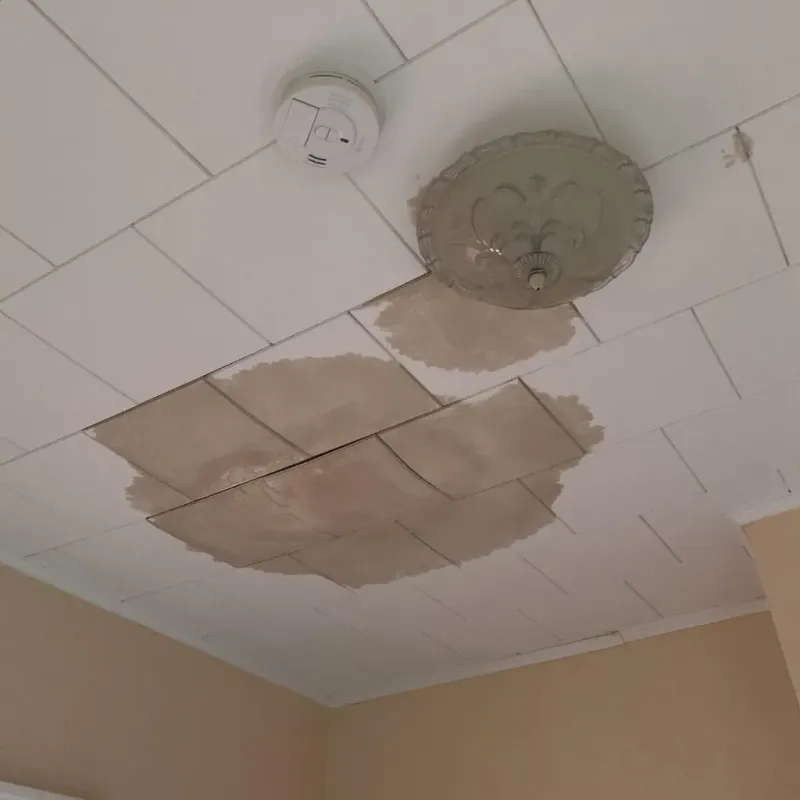 Ceiling Water Damage Repair in Prince George County, VA
