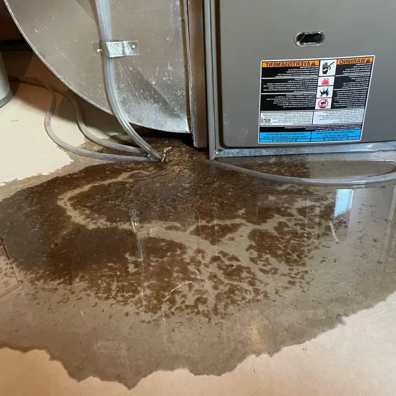 Pipe Burst and Leak Restoration in Prince George County, VA